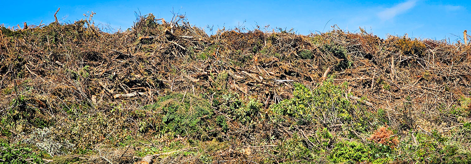 Brush and branch pile at Roseridge Waste Management Center
